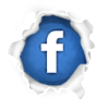 Facebook Icon: Follow Lilo on Facebook